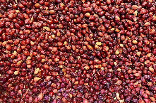 The Late Fall Harvest - Rose Hips