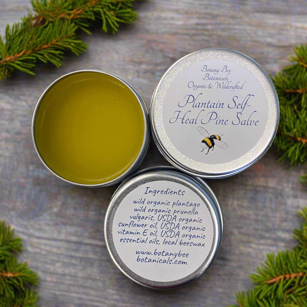 Organic Plantain Self-Heal Salve for Skin, Pine EO, Sunflower Oil, Beeswax, Vitamin E