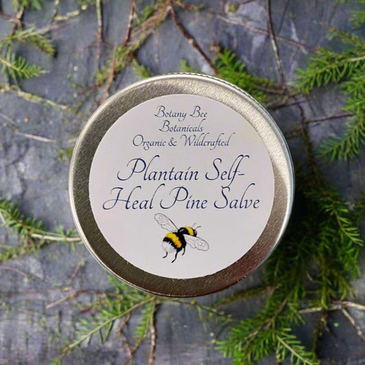 Organic Plantain Self-Heal Salve for Skin, Pine EO, Sunflower Oil, Beeswax, Vitamin E