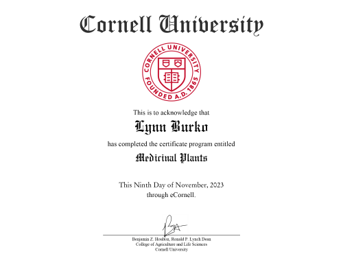 a diploma certificate with a red seal on it from Cornell University