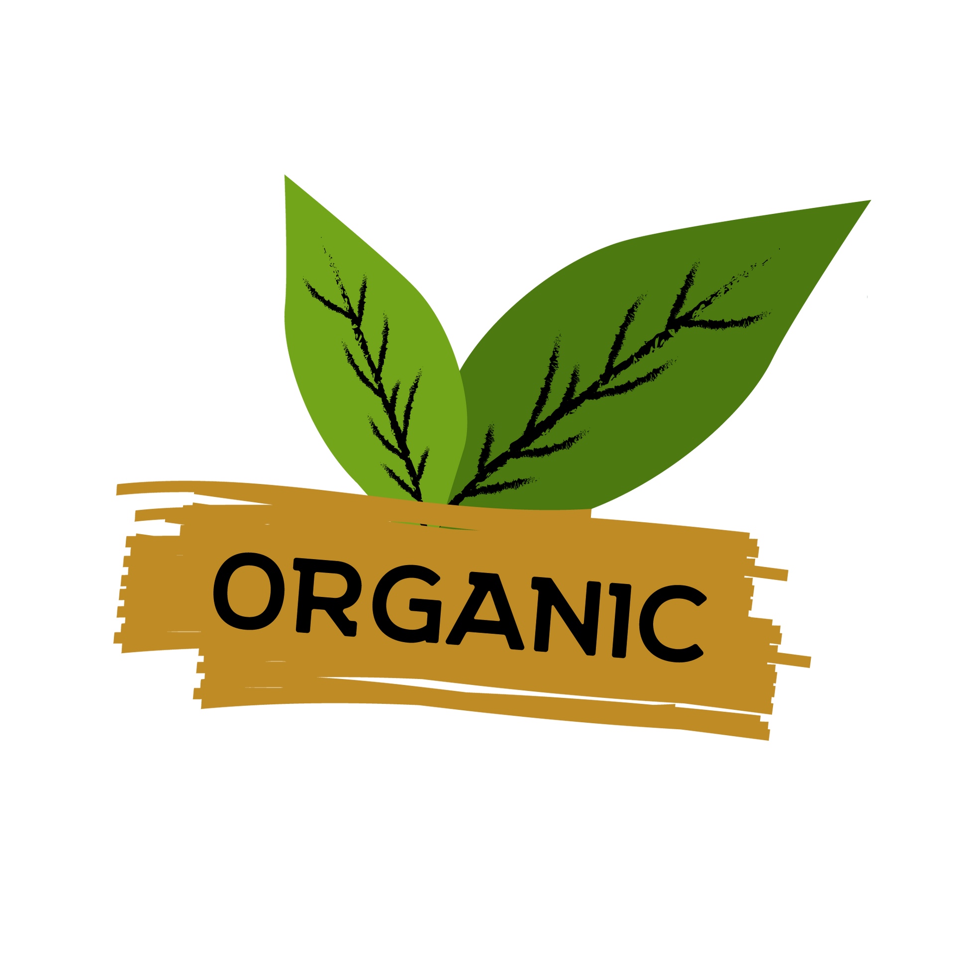 a green leaf with the word organic on it