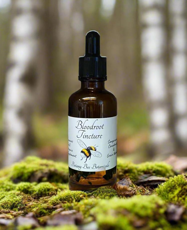 Bloodroot Tincture Bottle