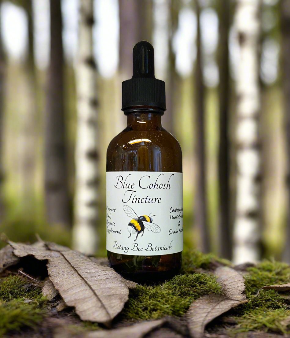 Blue Cohosh Tincture Bottle