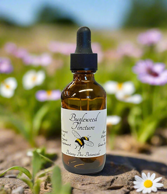 Bugleweed Tincture, Ajuga reptans Extract, 1 oz. or 2 oz. Dropper Bottle