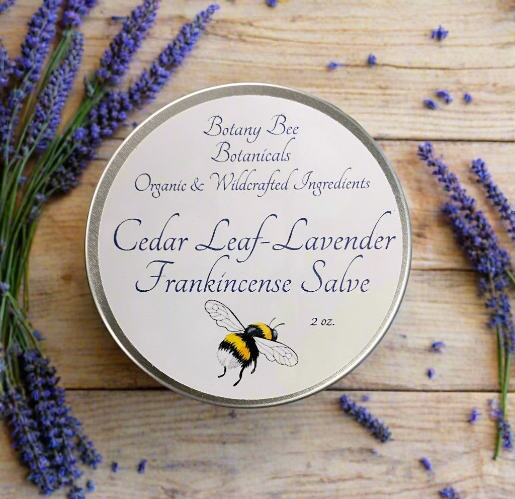 Cedar Leaf Lavender Frankincense Salve