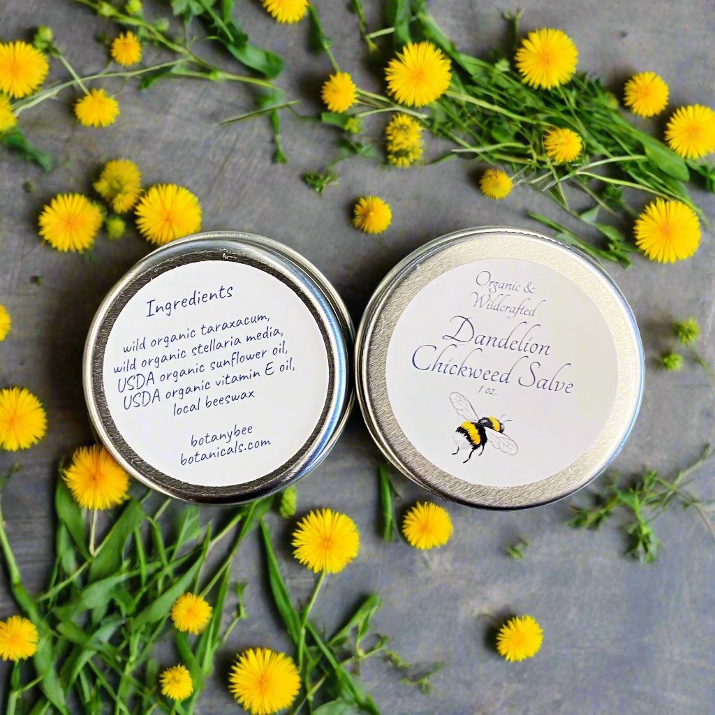 Organic Dandelion Chickweed Salve with Vitamin E