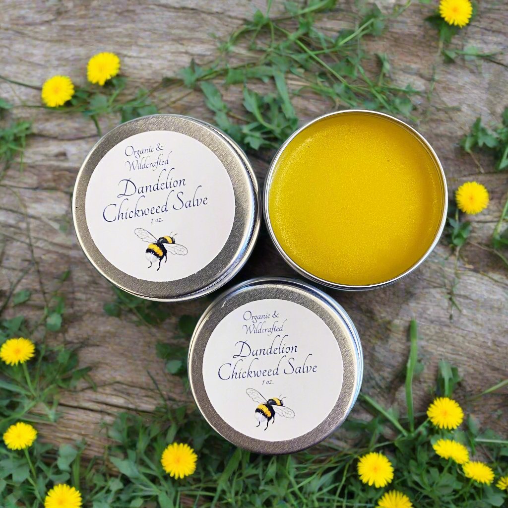 Organic Dandelion Chickweed Salve with Vitamin E