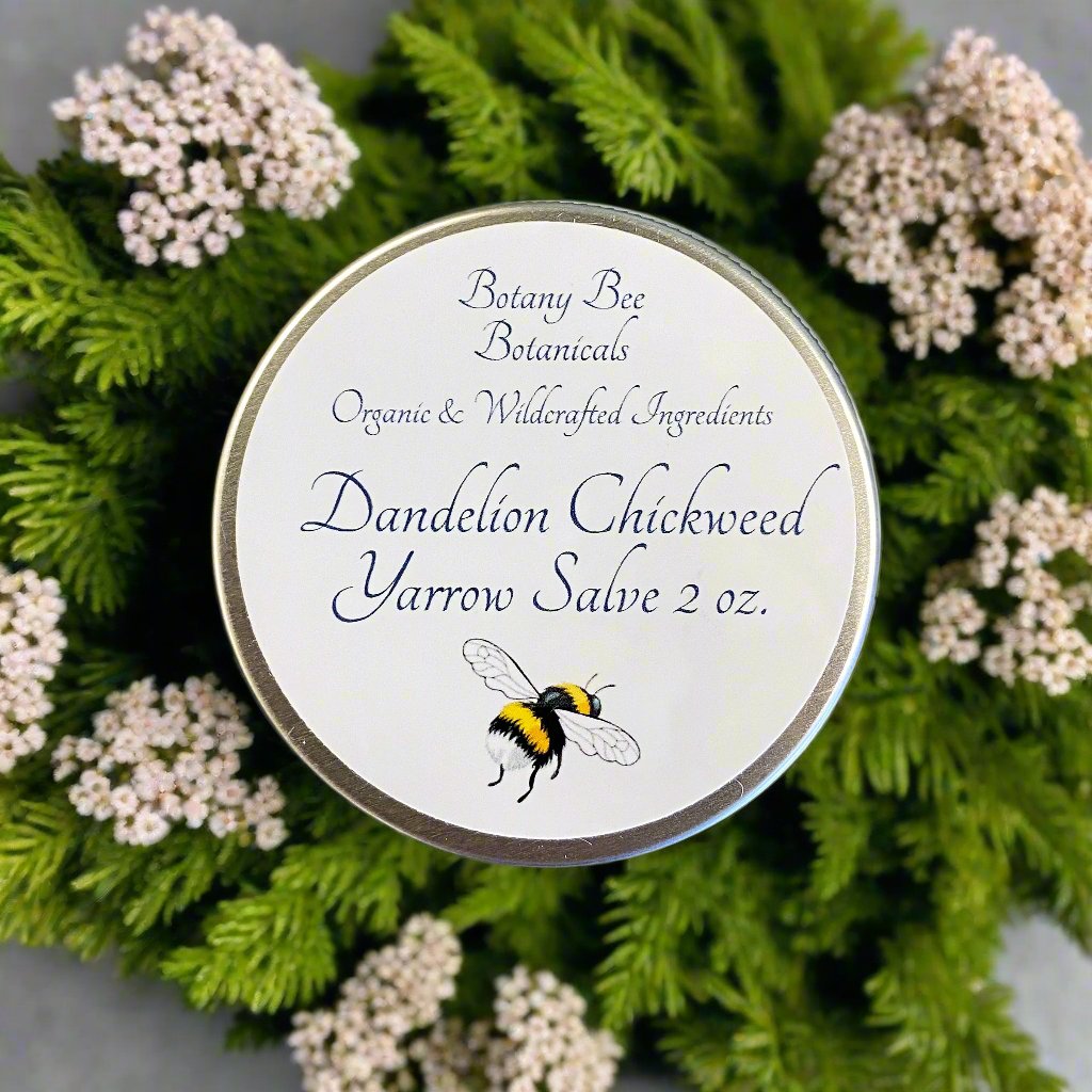 Dandelion Chickweed Yarrow Salve