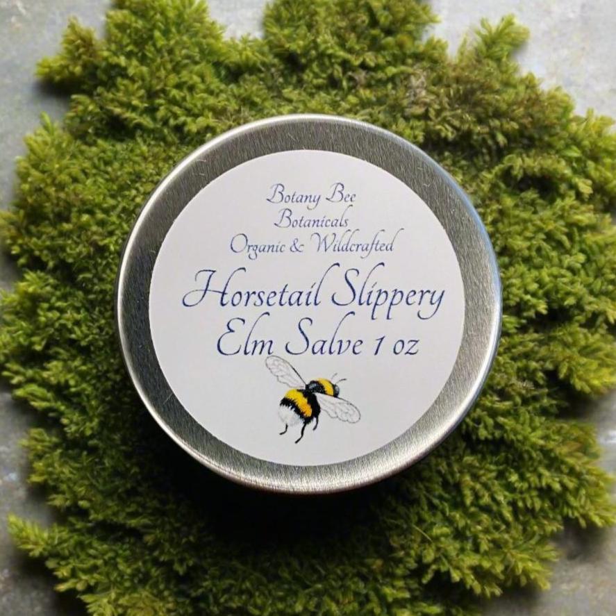 Organic Horsetail, Slippery Elm Salve with Vitamin E – BotanyBeeBotanicals