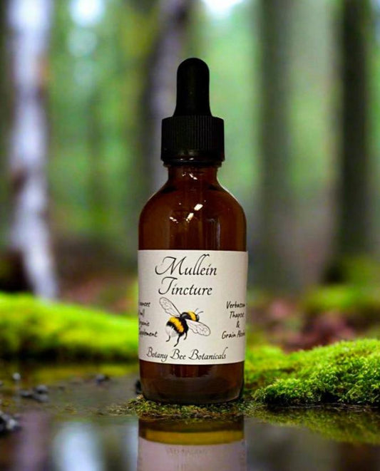 Mullein Tincture