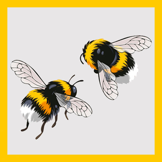 Botany Bee Botanicals Logo