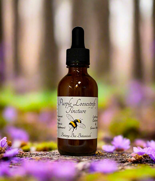 Purple Loosestrife, Lythrum salicaria Extract, 1 oz. or 2 oz. Dropper Bottle