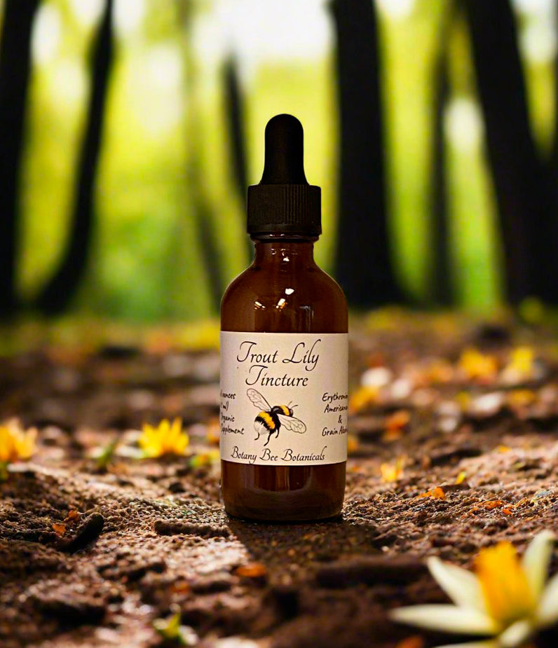 Trout Lily Tincture, Erythronium Americanum Extract, 1 oz. or 2 oz. Dropper Bottle