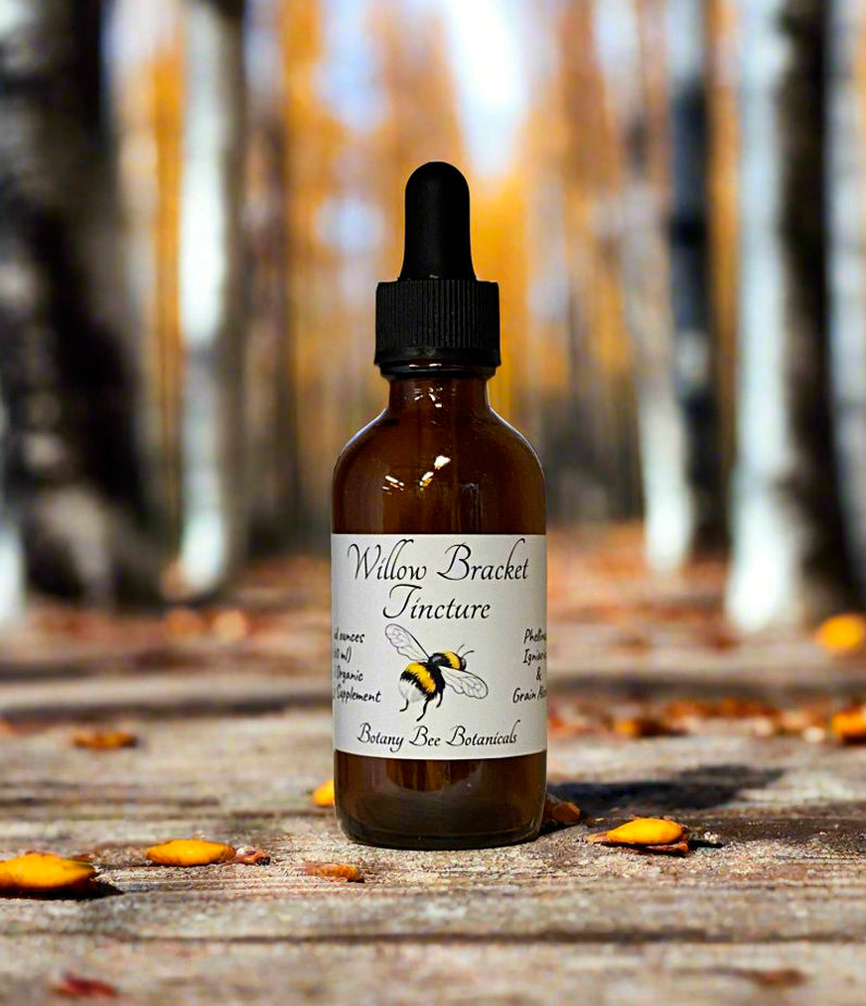 Willow Bracket Mushroom Tincture, Phellinus Igniarius, Mushroom Extract, 1 oz. or 2 oz. Dropper Bottle