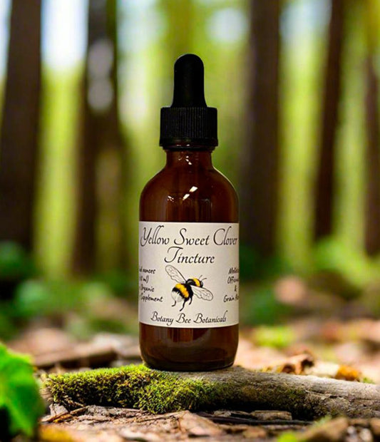 Yellow Sweet Clover Tincture, Melilotus officinalis 1 oz. or 2 oz. Dropper